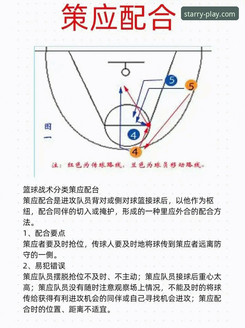 火箭队战术执行力深度解析：从一场大胜看现代篮球的“版本答案”